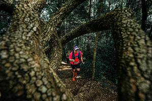 BIB: 
                            <button type="button" onclick="openModal(25703730)" class="btn btn-primary btn-sm float-right btn-popup" data-toggle="modal" data-target=".modal-high-quality">
                        <i class="fas fa-shopping-cart"></i> Add to Cart
                    </button>
                                            <button type="button" onclick="isThisMe(25703730, true)" class="btn btn-success btn-sm float-right btn-popup btn-isme hidden" data-toggle="tooltip" data-placement="bottom" title="นี่คือรูปของคุณใช่ไหม คลิกที่นี่เพื่อเอาเข้าอัลบั้ม">
                        <i class="fas fa-plus"></i> Add to album
                    </button>
                    <button type="button" onclick="isThisMe(25703730, false)" class="btn btn-warning btn-sm float-right btn-popup btn-isnotme hidden">
                        <i class="fas fa-ban"></i> Remove from album
                    </button>